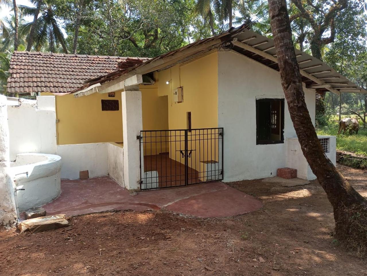 The Grace 2bhk